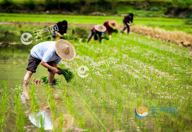 大年初八的禁忌和风俗，你知道多少？不遵守可能会影响运势  第1张