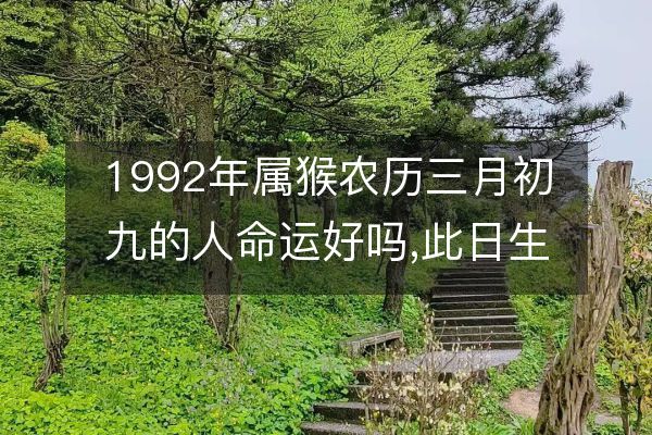 9 月 4 日甲辰年壬申月辛未日十二生肖运势及行事要点  第1张