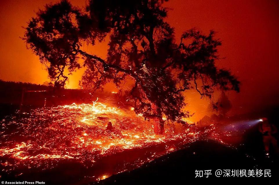 突发！更加致命的猴痘毒株正在非洲快速蔓延，世卫组织或宣布进入紧急状态  第1张