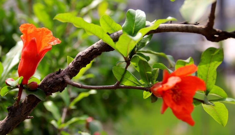 9 月桃花旺盛，4 大星座步入恋爱甜蜜殿堂，天秤座魅力四射  第1张