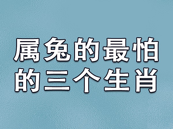 本周属鸡、属兔、属蛇的人运势大揭秘！事业爱情双丰收  第1张