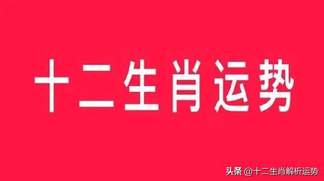 2024 年 9 月 14 日十二生肖运势大揭秘，鼠牛运势抢先看