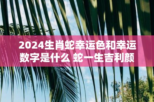 2024 下半年从数字预示，你有哪些好运气跟随？爱情婚姻好运等你来