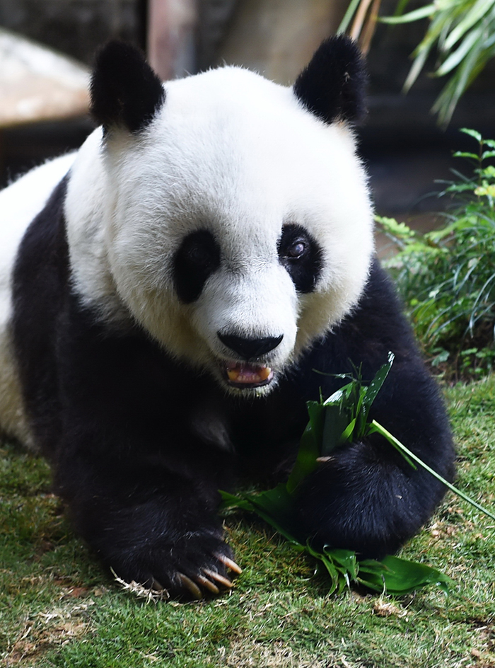 怎么可以错过天天彩澳门资料免费大全,女性更长寿？从端妃原型到现代研究，揭秘女性长寿的原因  第1张