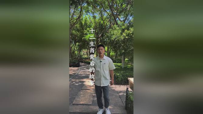 成龙的十二生肖：动作与文化的完美融合，带你领略震撼之旅