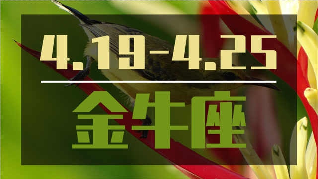 白羊座金牛座双子座今日塔罗：爱情甜蜜幸福，需坦诚沟通解决问题